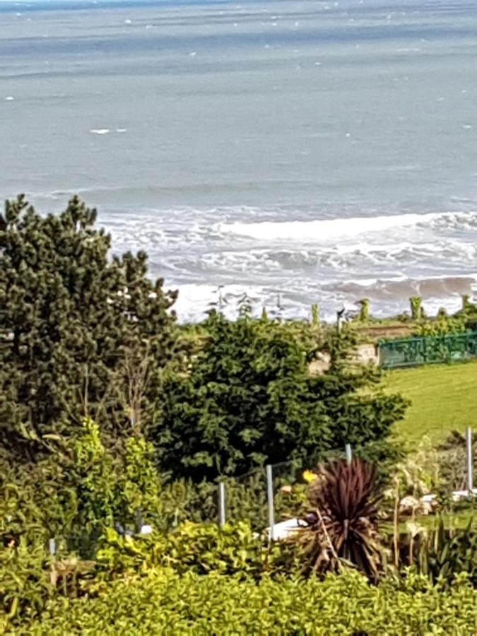 Norwegian Wood Hotel Paignton Bagian luar foto