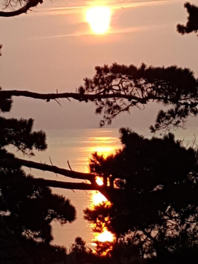 Norwegian Wood Hotel Paignton Bagian luar foto