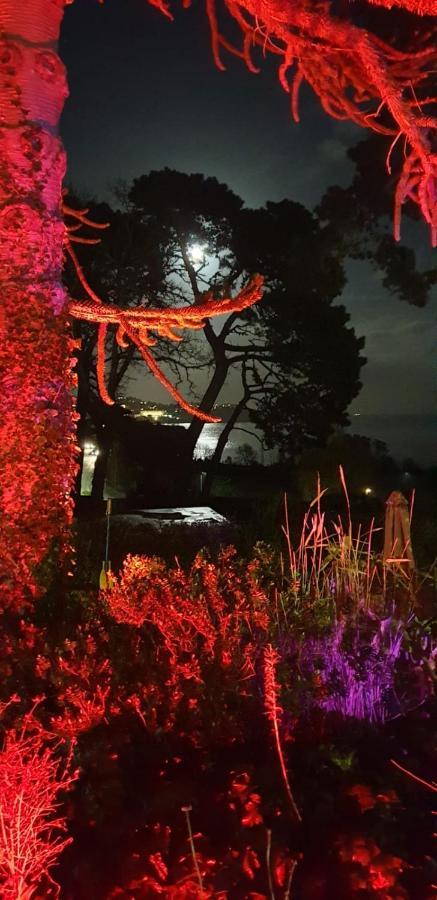 Norwegian Wood Hotel Paignton Bagian luar foto