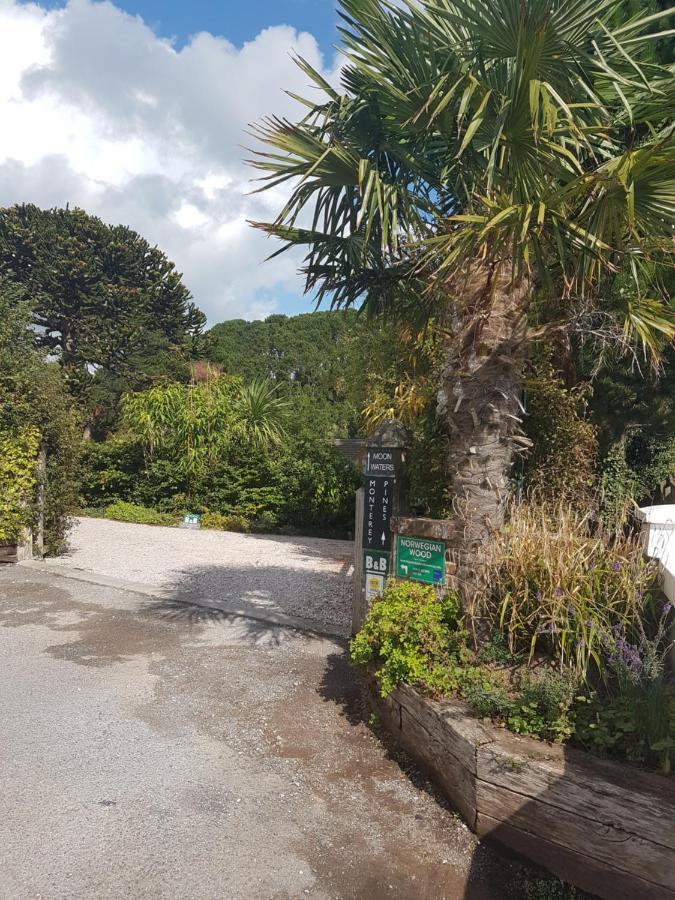 Norwegian Wood Hotel Paignton Bagian luar foto