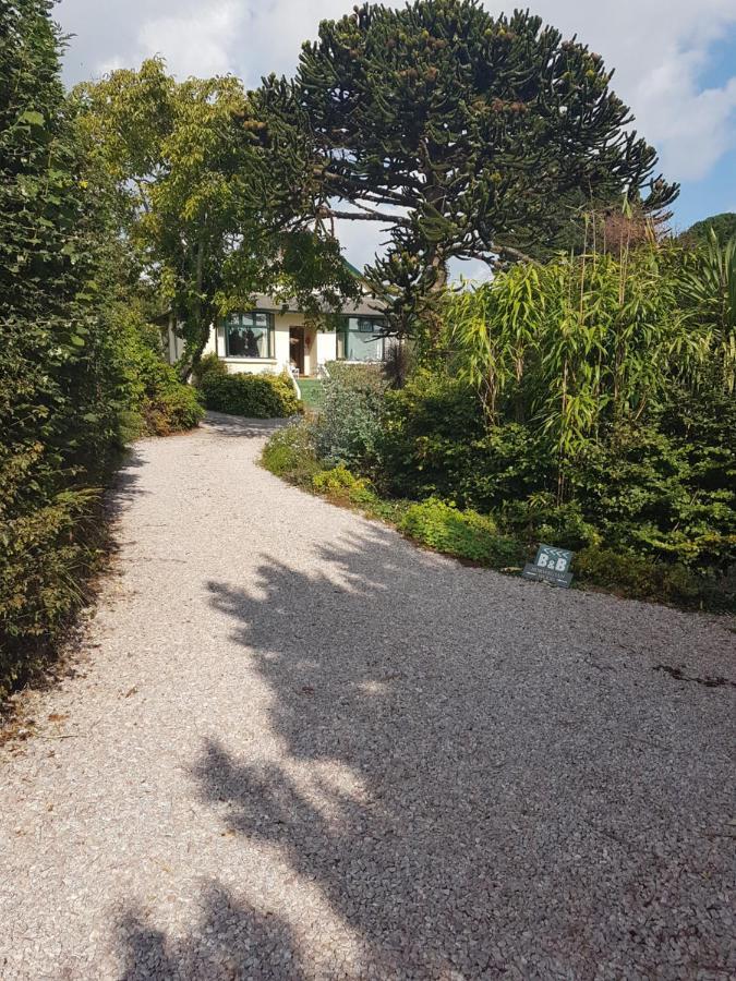 Norwegian Wood Hotel Paignton Bagian luar foto